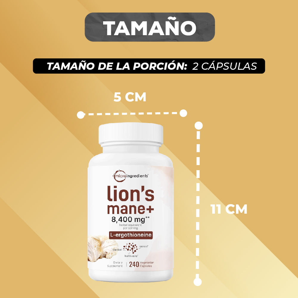 MELENA DE LEÓN CON L-ERGOTIONEÍNA (240 CAPSULAS)