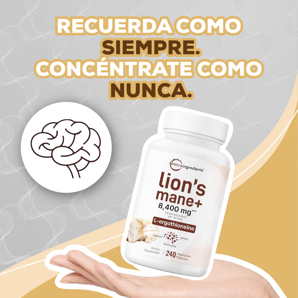 MELENA DE LEÓN CON L-ERGOTIONEÍNA (240 CAPSULAS)