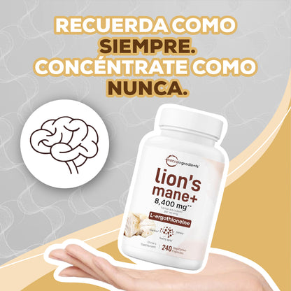 MELENA DE LEÓN CON L-ERGOTIONEÍNA (240 CAPSULAS)