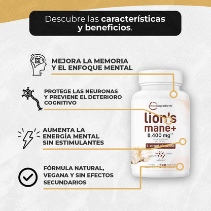 MELENA DE LEÓN CON L-ERGOTIONEÍNA (240 CAPSULAS)